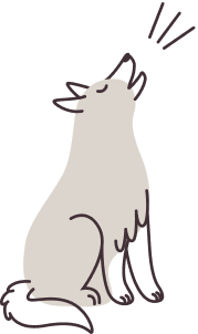 Husky Dog Signup Icon