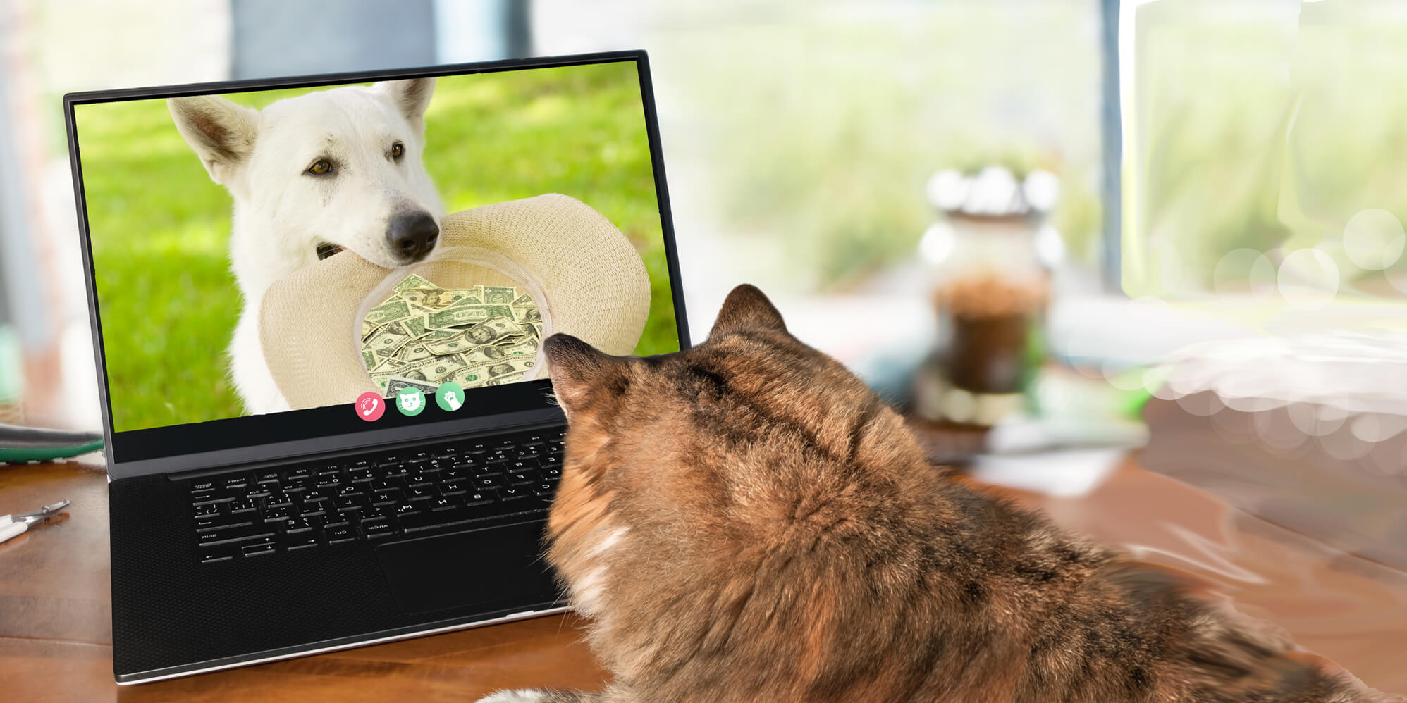 For the Paws Homepage Banner with Cat and Dog